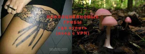 дурь Краснотурьинск
