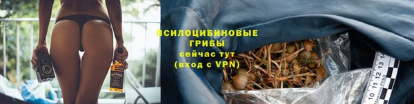 кристаллы Краснослободск