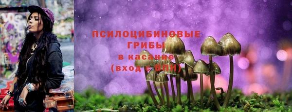 дурь Краснотурьинск