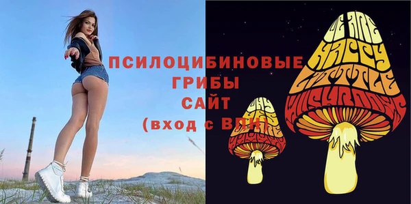 дурь Краснотурьинск